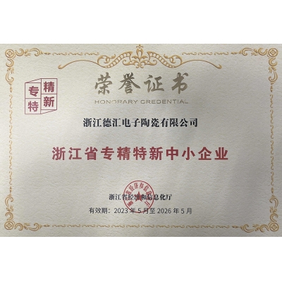 浙江省專精特新中小企業(yè)